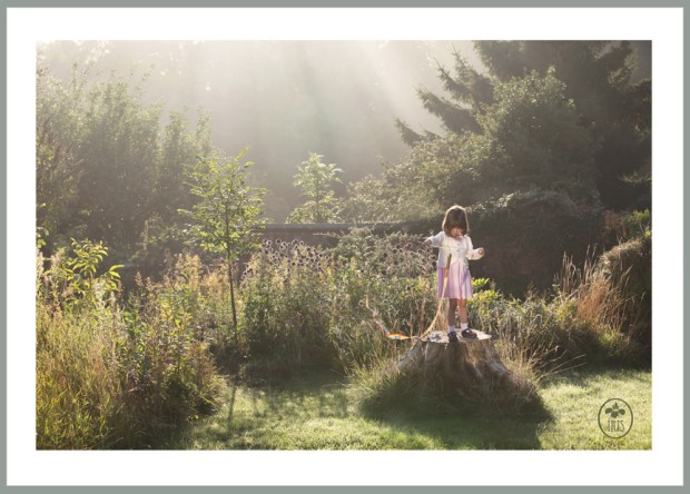 Iris's favourite treestump