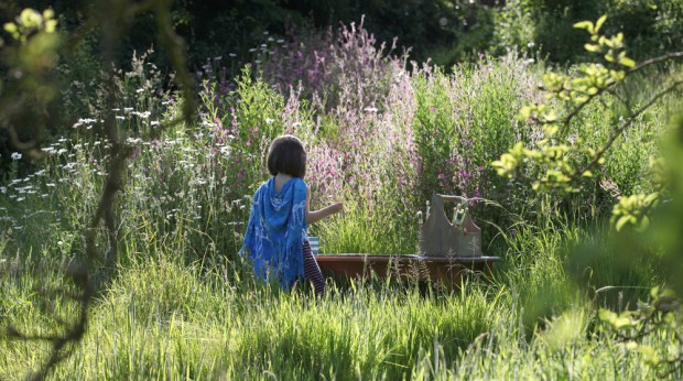 June 2014 Painting in the meadow