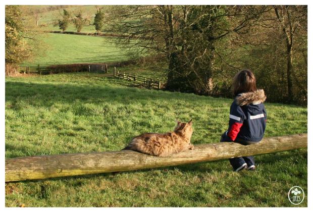 12291207_1175456022469104_7569663374651159077_o