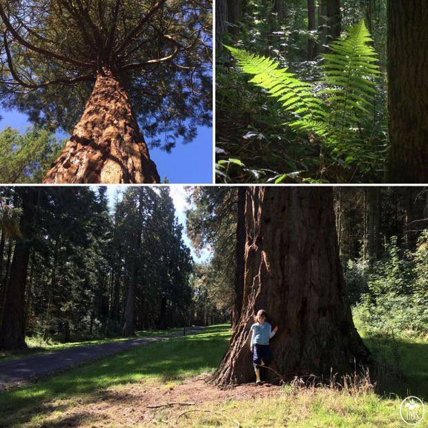 20915475_1780080582006642_7802879956548965266_n