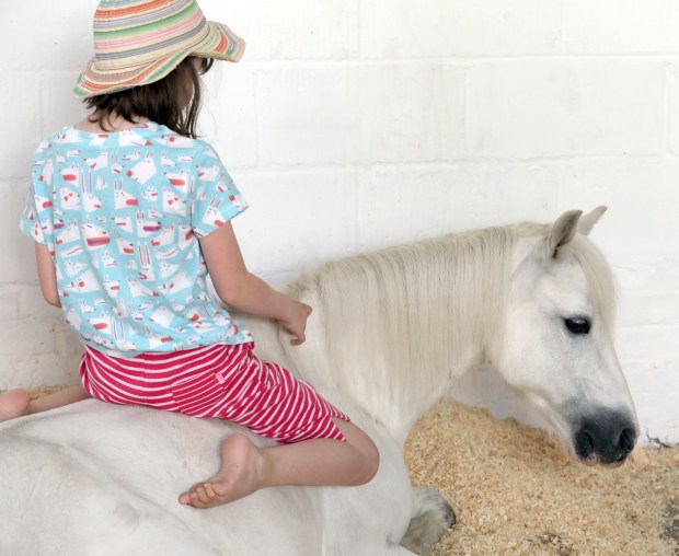 Iris on Blue while lying down