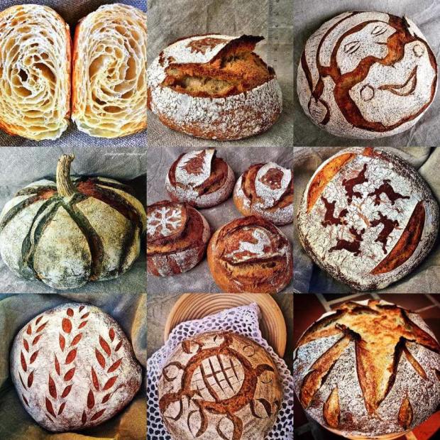 19105526_10212450685118567_4576479486616506224_n