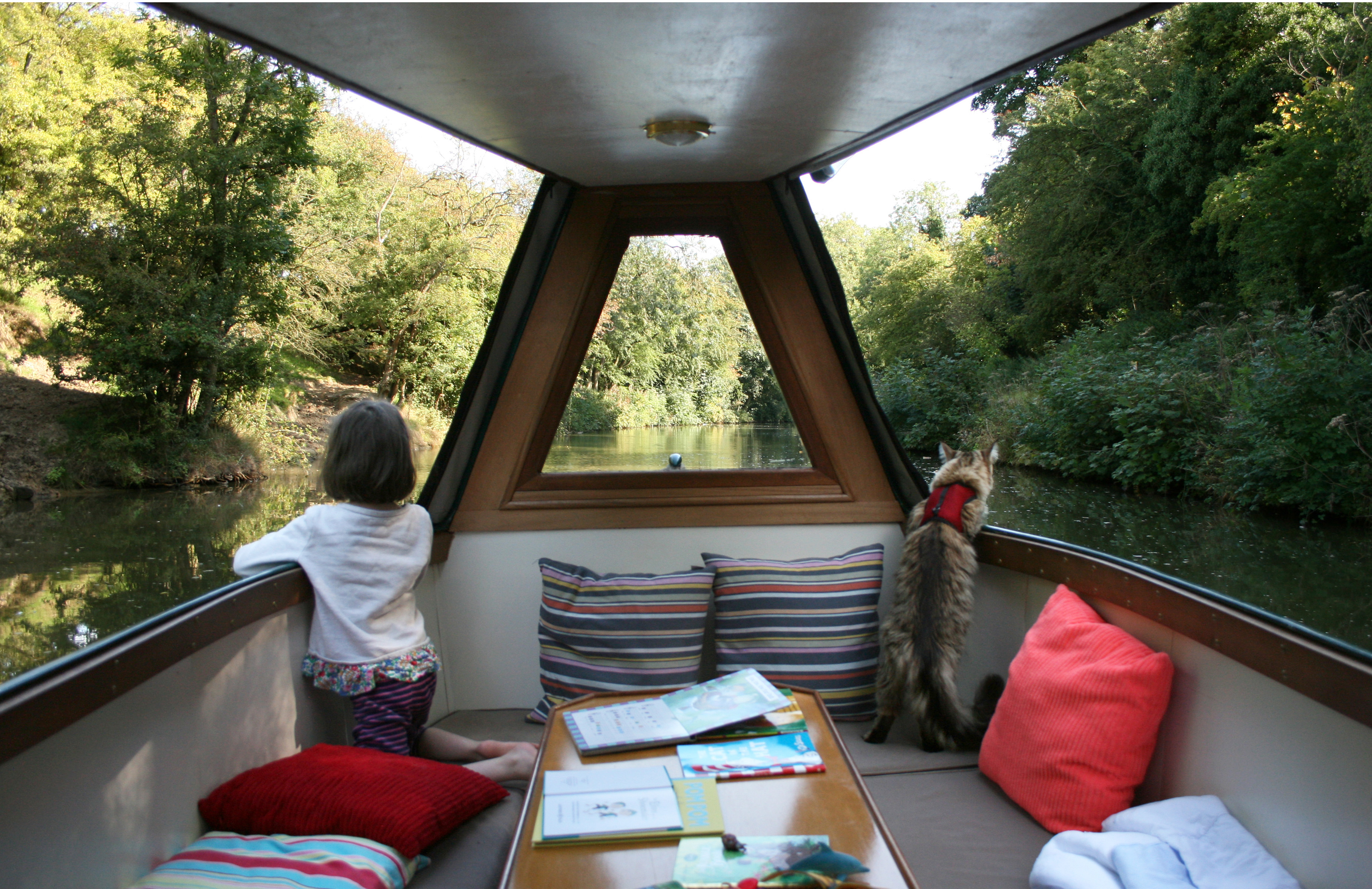 Thula the therapy cat on adventures