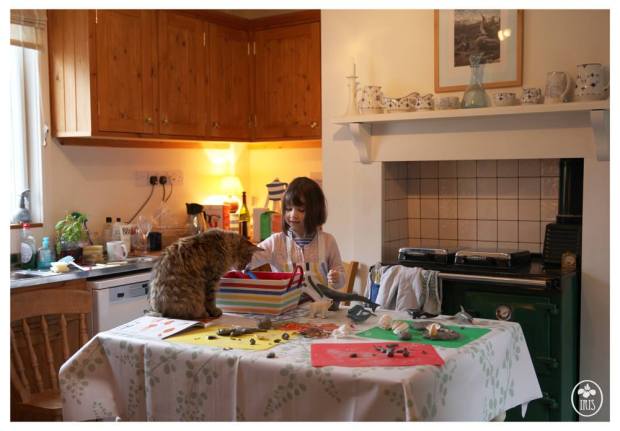 12493743_1193934543954585_7247443409807534233_o