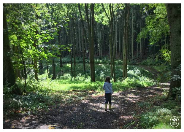 20819161_1775922292422471_5839185027479227198_o